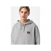 Dickies Mount Vista Hoodie melange grey